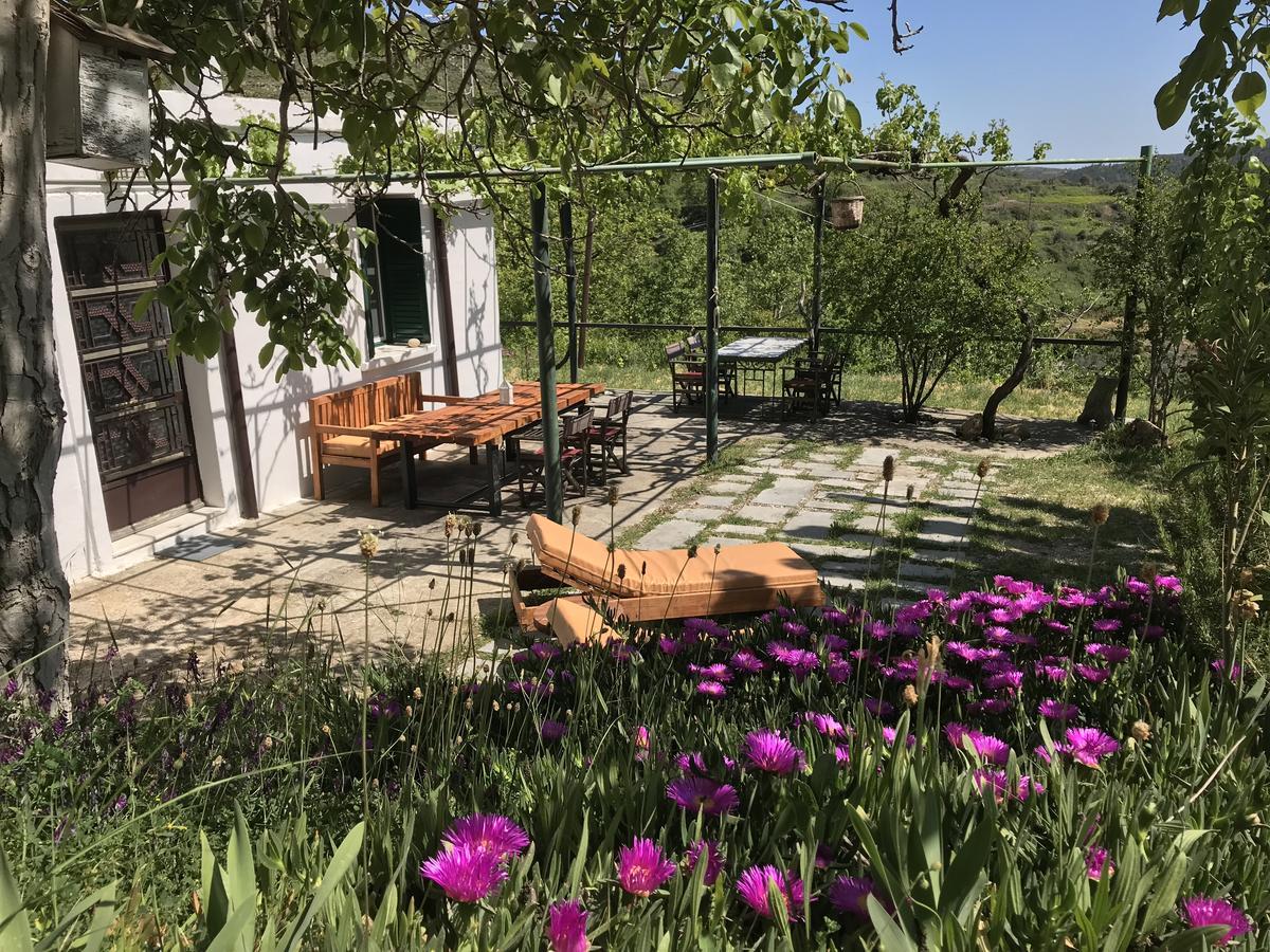 Вілла Temenia House Екстер'єр фото